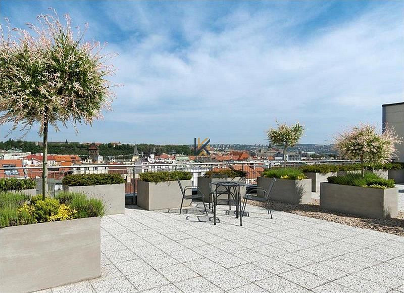 Fotka 3 z 7