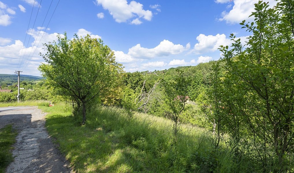 Prodej stavebního pozemku 11 131 m², Bohuslavice u Zlína – náhled fotky 25