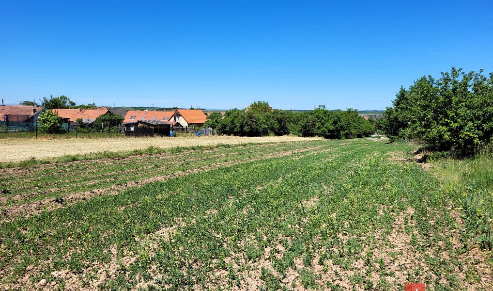 Prodej stavebního pozemku 1 399 m², Chrášťany – náhled fotky 4