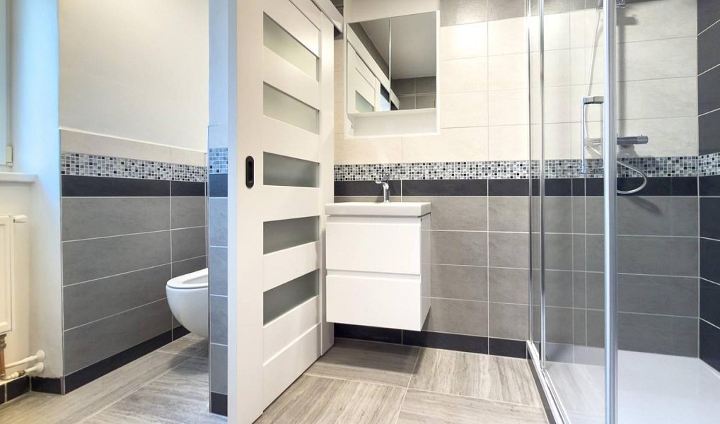 Pronájem bytu 2+1 55 m², České Budějovice – náhled fotky 9