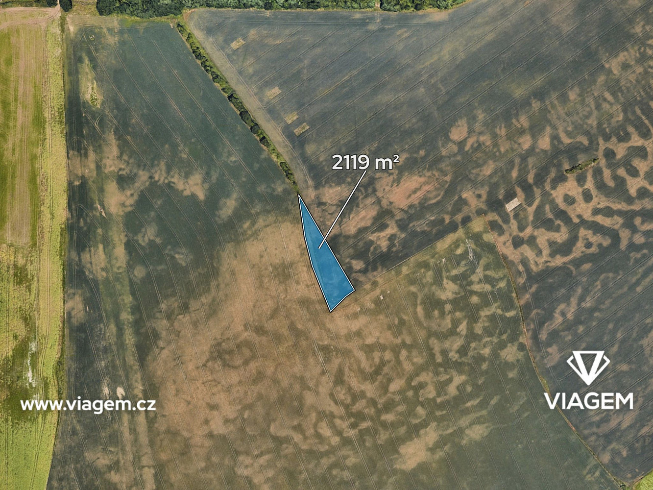 Prodej pole 2 119 m² – fotografie 2