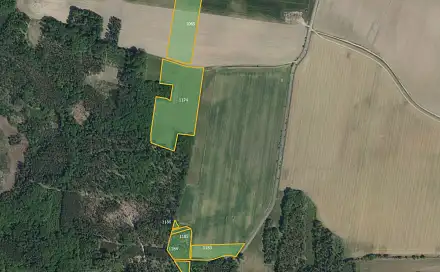 Prodej pole 19 647 m², Vlčí Habřina, okres Pardubice