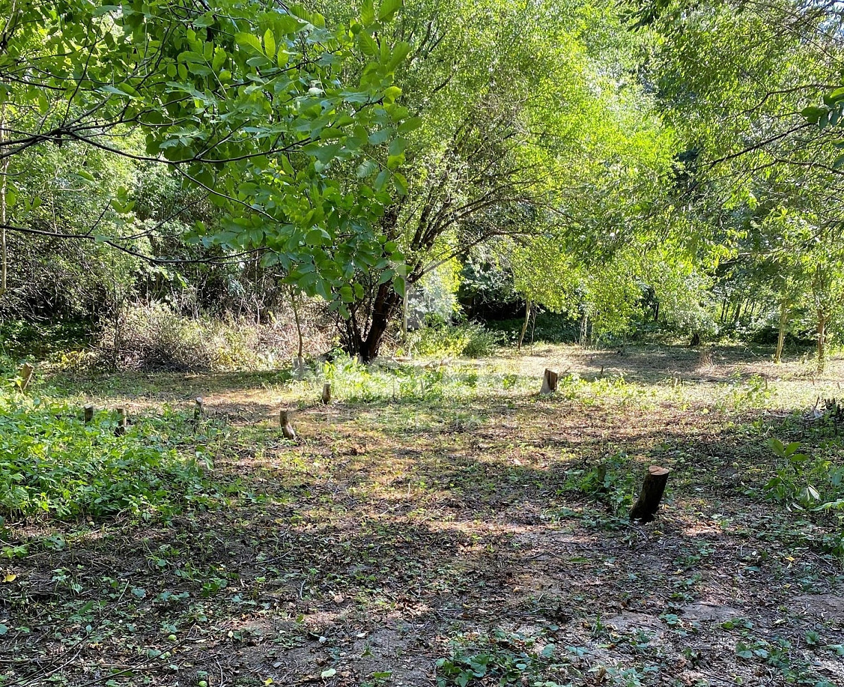 Prodej stavebního pozemku 5 321 m² – pohled 4