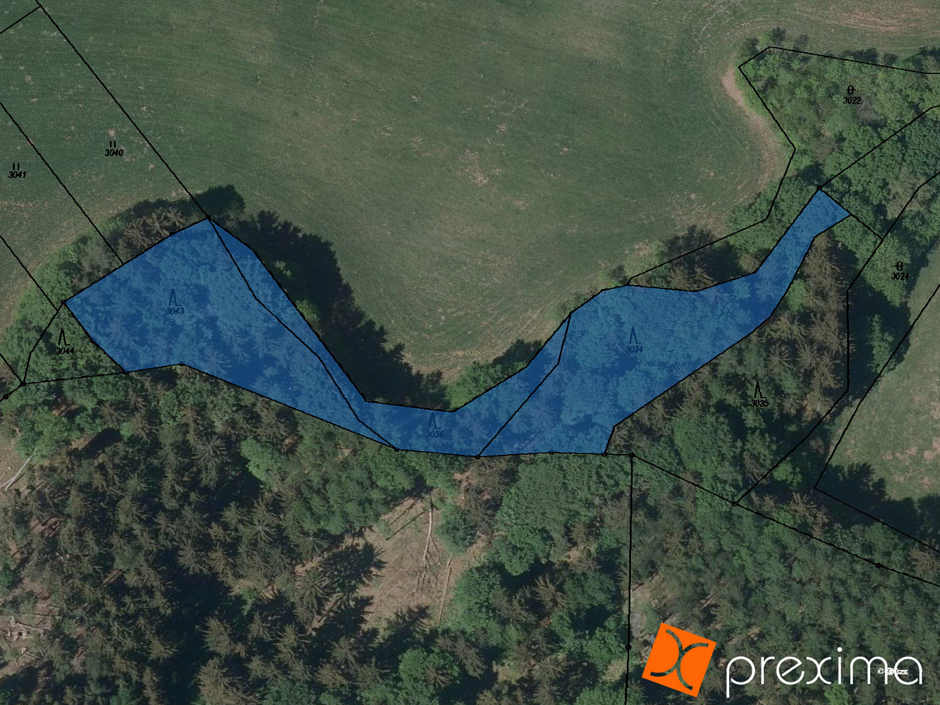 Prodej lesa 4 299 m²