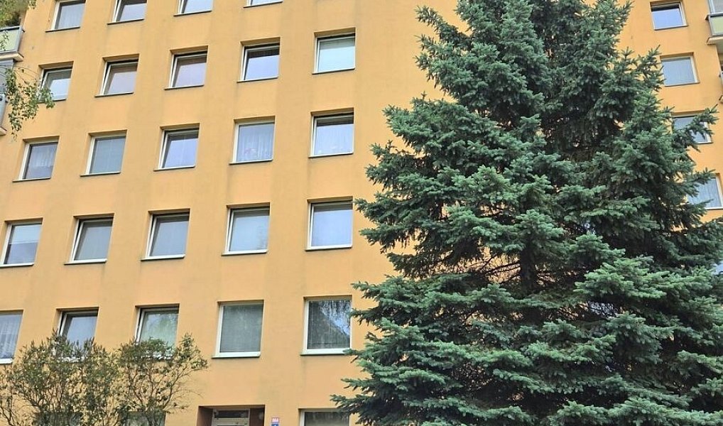Pronájem bytu 1+kk 32 m², Teplice – náhled fotky 9