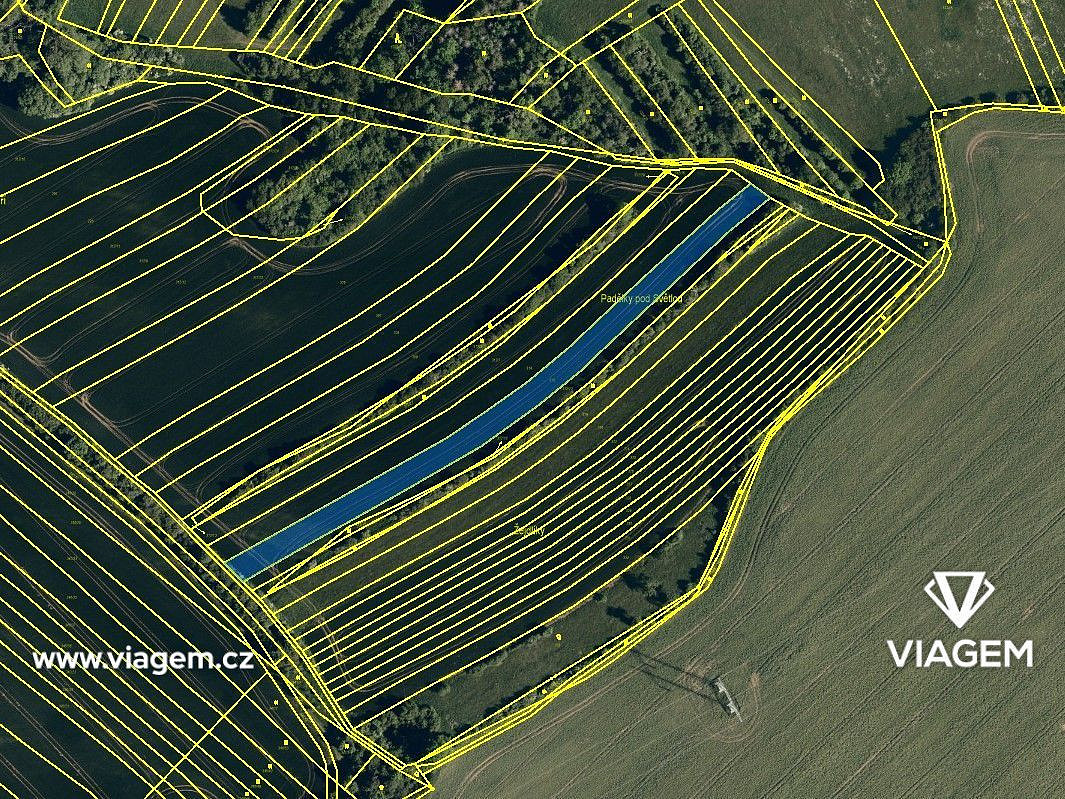 Prodej pole 822 m² – fotografie 3