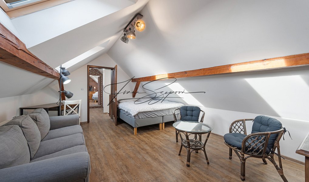 Prodej ubytovacího objektu 208 m², Dráchov – náhled fotky 38