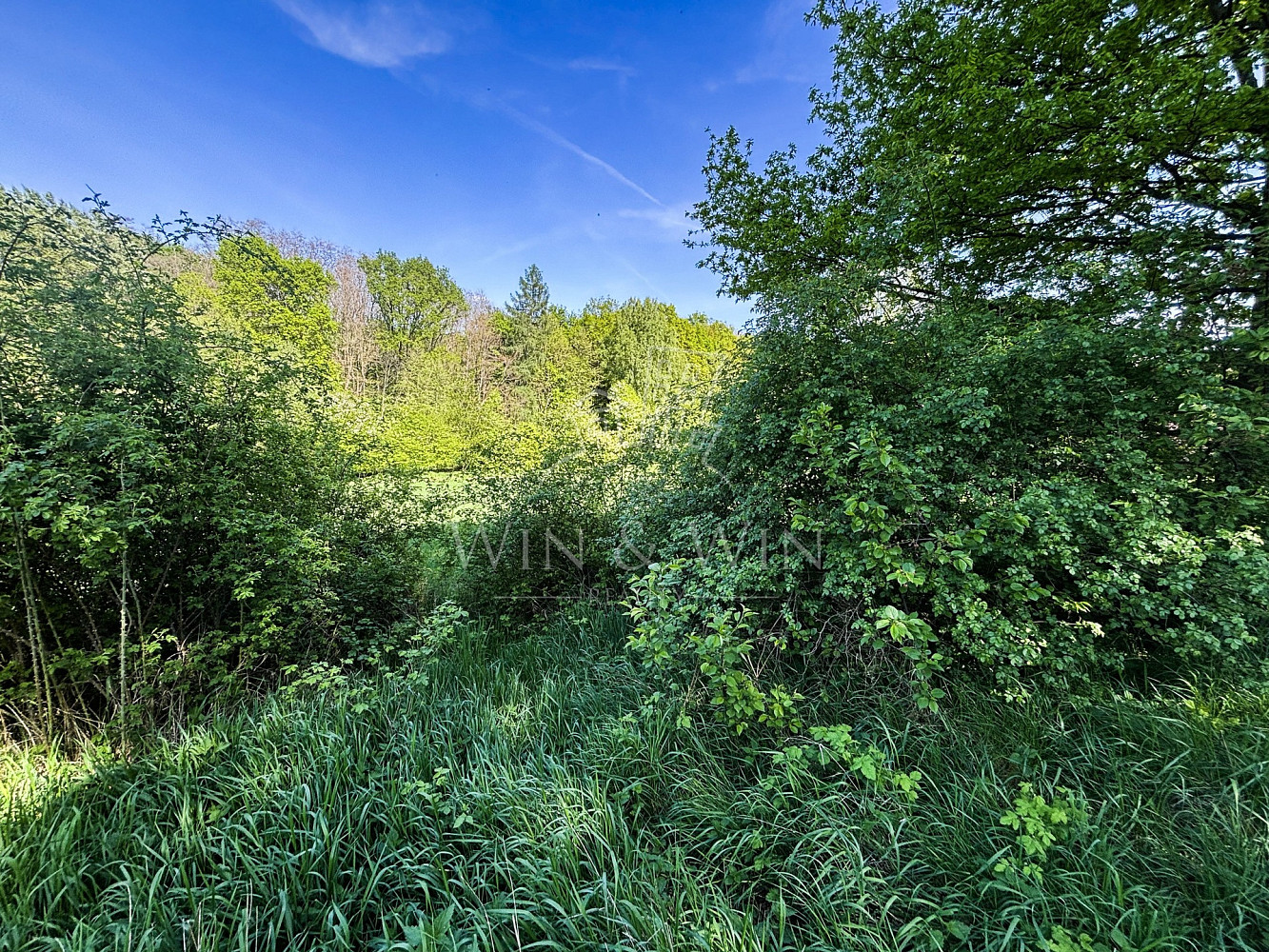 Prodej stavebního pozemku 1 204 m² – fotografie 4