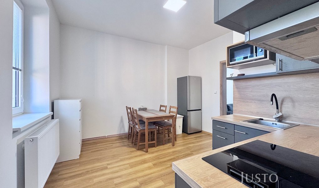 Pronájem bytu 2+1 47 m², Lovosice – náhled fotky 9