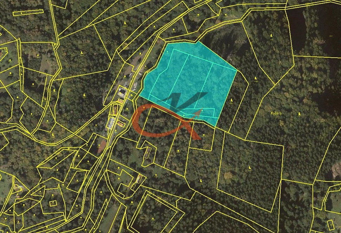 Prodej lesa 15 729 m² – pohled 3