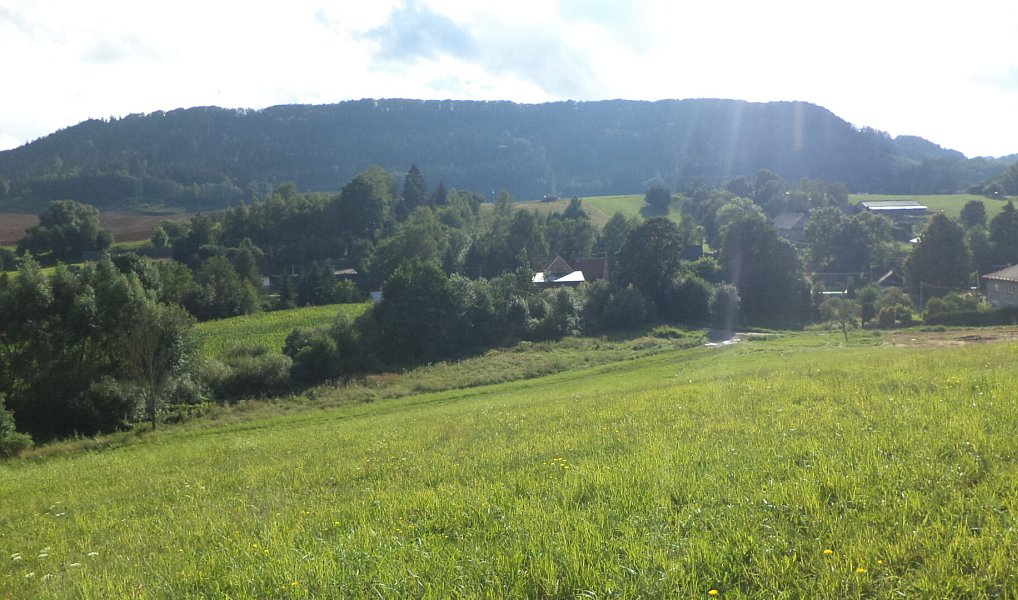 Prodej pozemku 34 731 m², Dolní Dobrouč – náhled fotky 3