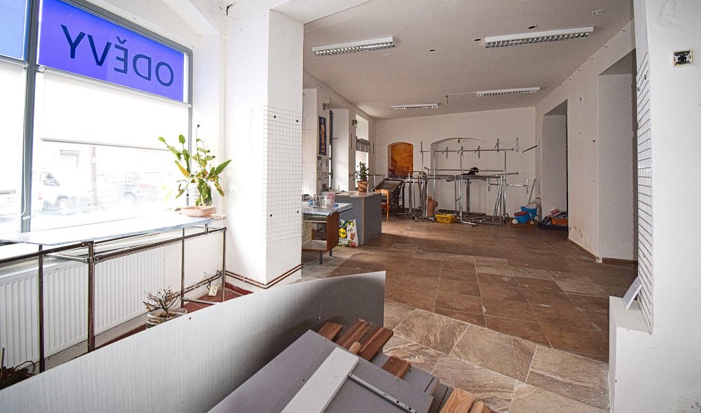Pronájem obchodních prostor 120 m², Dobřany – náhled fotky 6