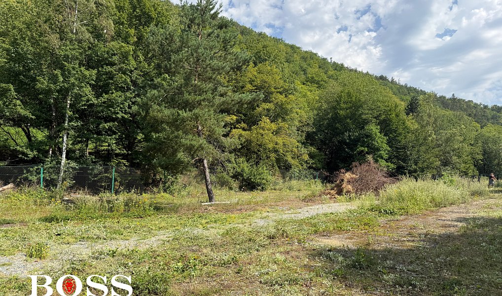 Prodej komerčního pozemku 15 862 m², Slabce – náhled fotky 23