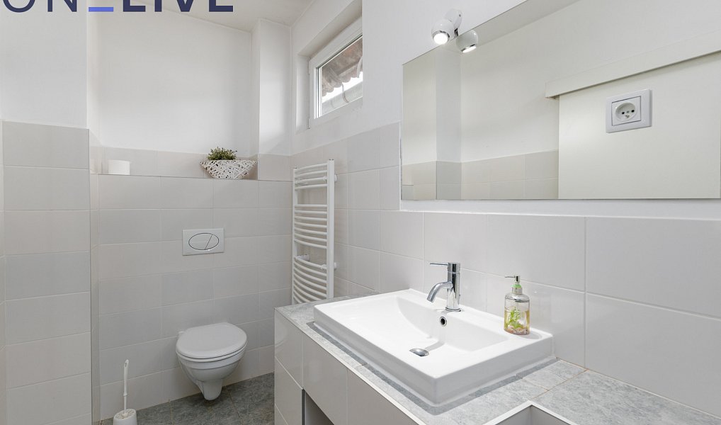 Prodej ubytovacího objektu 480 m², Starý Plzenec – náhled fotky 10