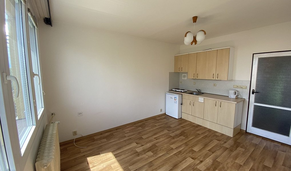 Pronájem bytu 1+kk 21 m², České Budějovice – náhled fotky 5