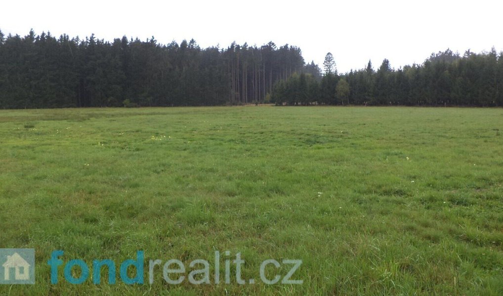 Prodej pozemku 10 628 m², Nová Bystřice – náhled fotky 2