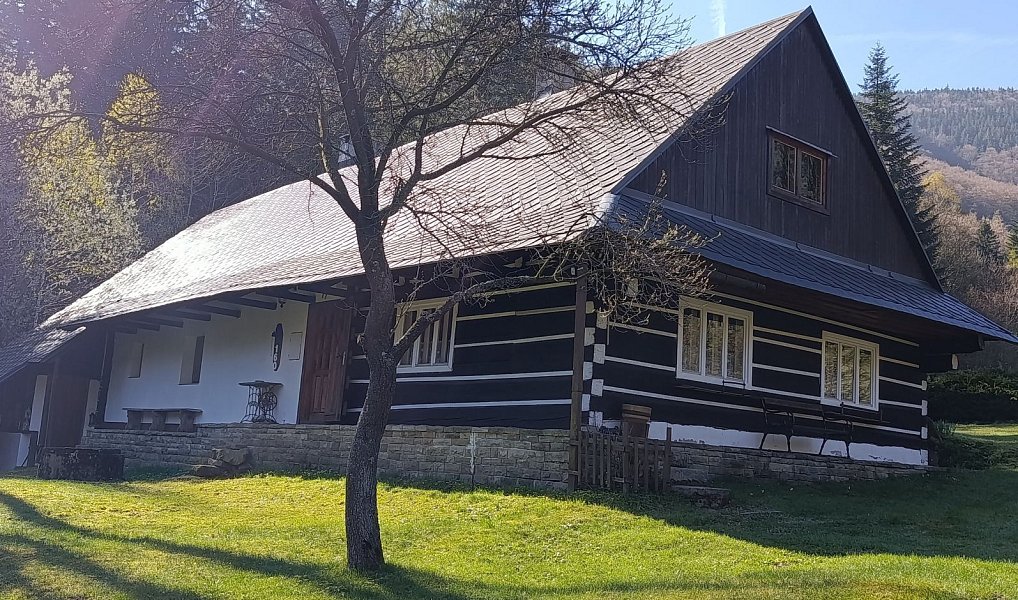 Prodej chaty/chalupy 300 m² s pozemkem 27 976 m², Krásná – náhled fotky 5