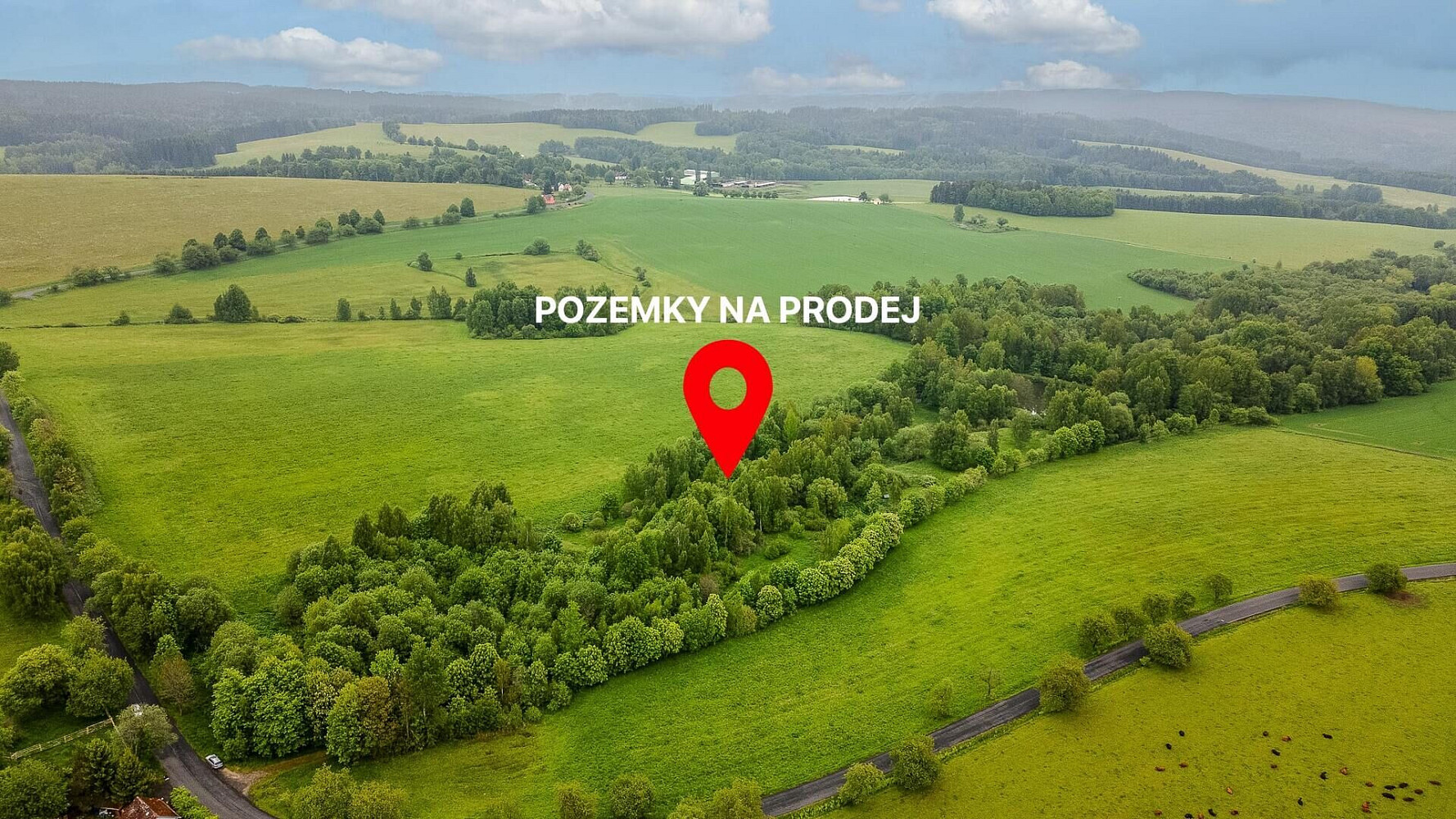 Prodej pole 54 868 m² — photo 3