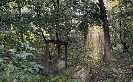 Prodej pozemku 2 784 m², Vršovka - Dobříč