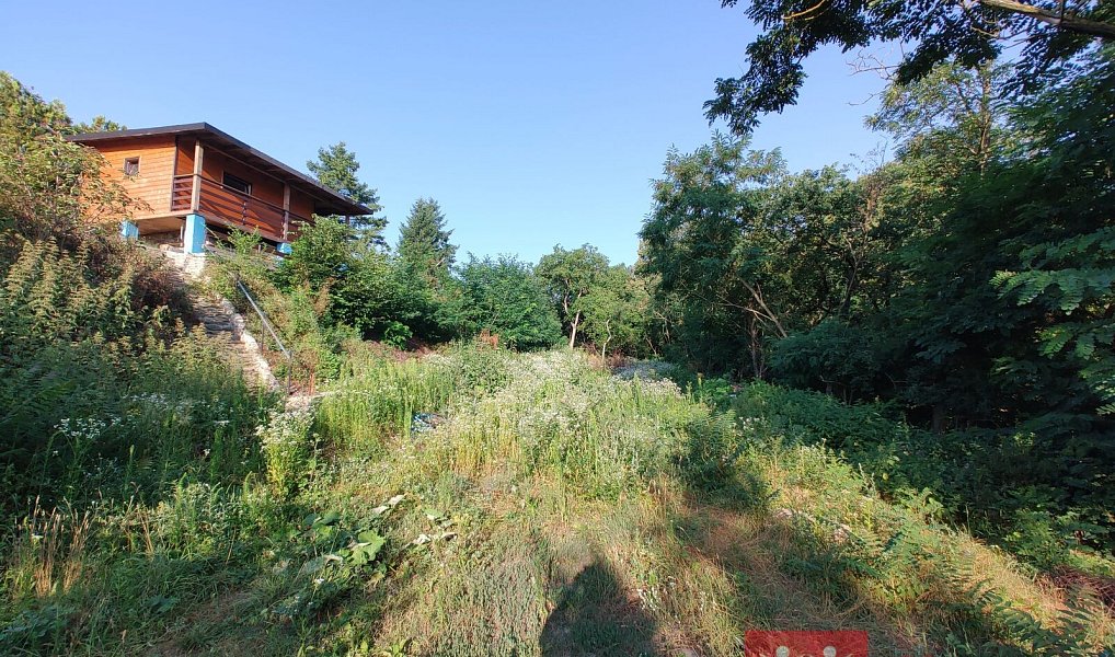 Prodej chaty/chalupy 16 m² s pozemkem 2 618 m², Nový Šaldorf-Sedlešovice – náhled fotky 15