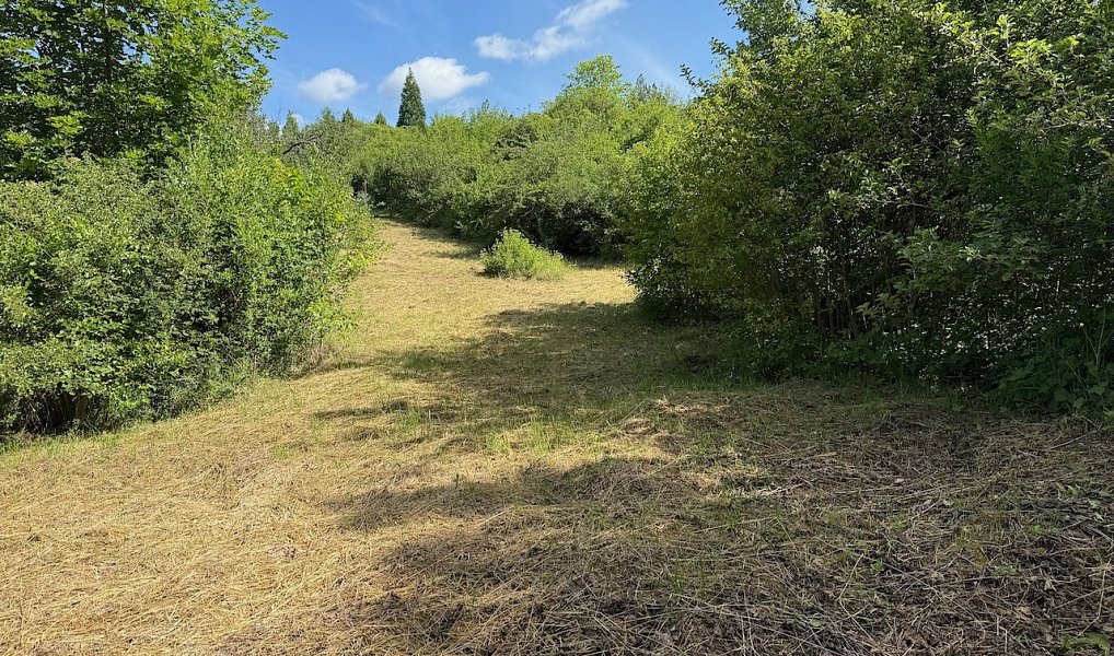 Prodej stavebního pozemku 475 m², Silůvky – náhled fotky 4