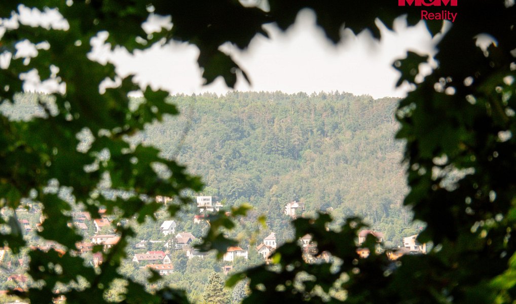 Prodej lesa 5 606 m², Praha – náhled fotky 5