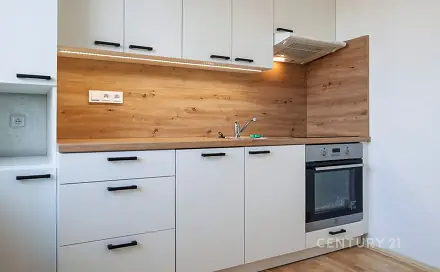 Pronájem bytu 3+1 71 m², Riegrova, Nový Jičín