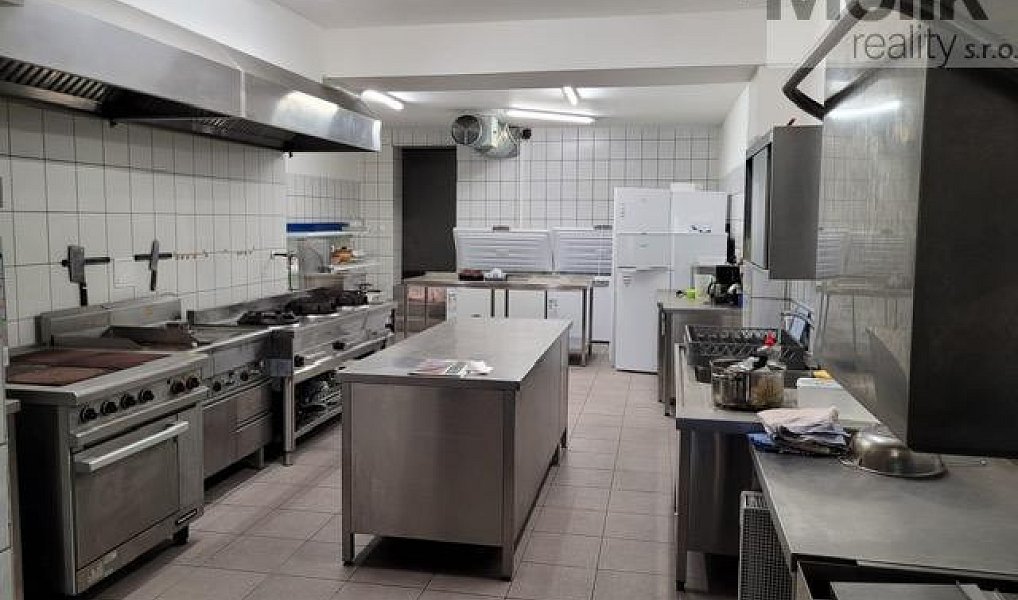 Pronájem ubytovacího objektu 1 753 m², Český Jiřetín – náhled fotky 11