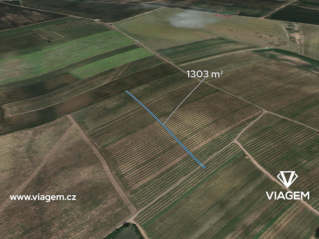 Prodej pole 1 303 m²