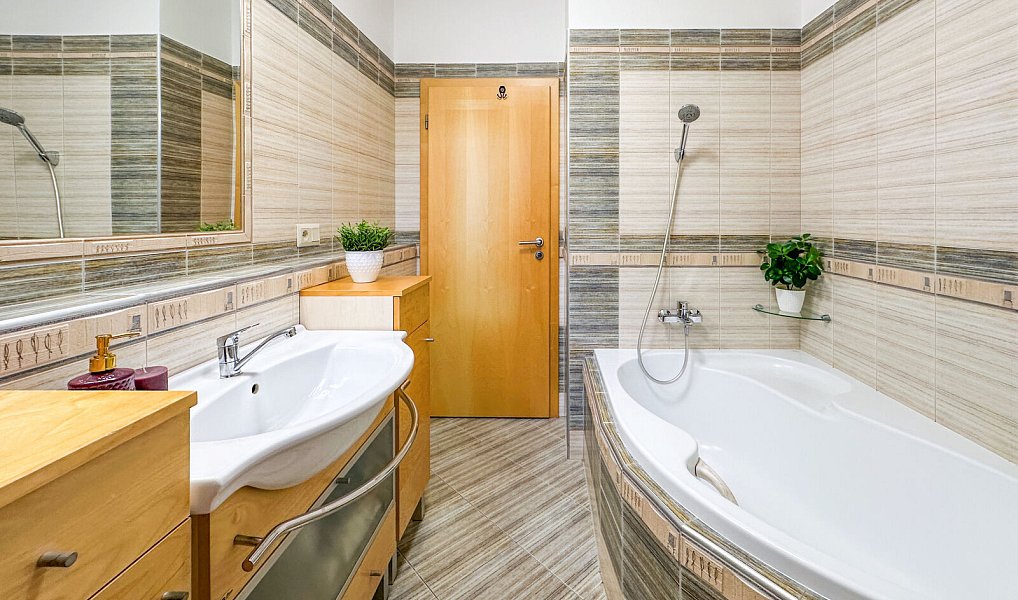 Prodej domu 123 m² s pozemkem 868 m², Dobrá Voda u Českých Budějovic – náhled fotky 11