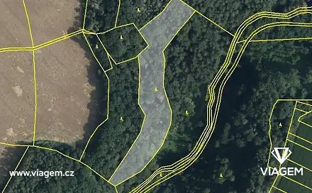 Prodej lesa 7 146 m², České Lhotice, okres Chrudim