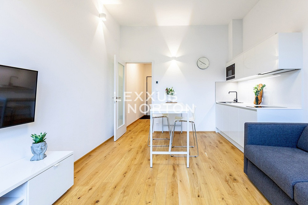 Pronájem bytu 1+kk 29 m², Praha