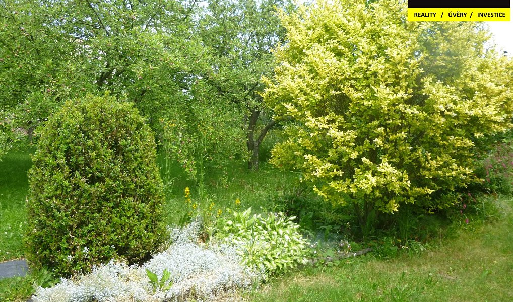Prodej domu 258 m² s pozemkem 938 m², Vítkov – náhled fotky 4