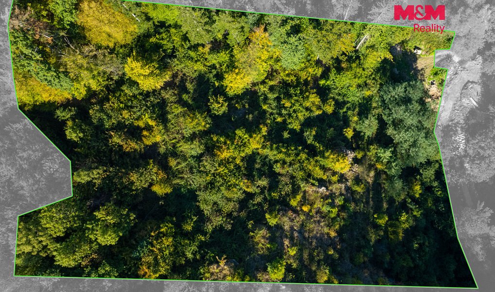 Prodej lesa 7 450 m², Lomnice – náhled fotky 6