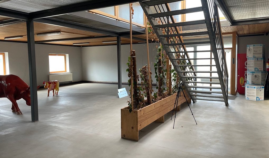 Pronájem obchodních prostor 400 m², Tachlovice – náhled fotky 9