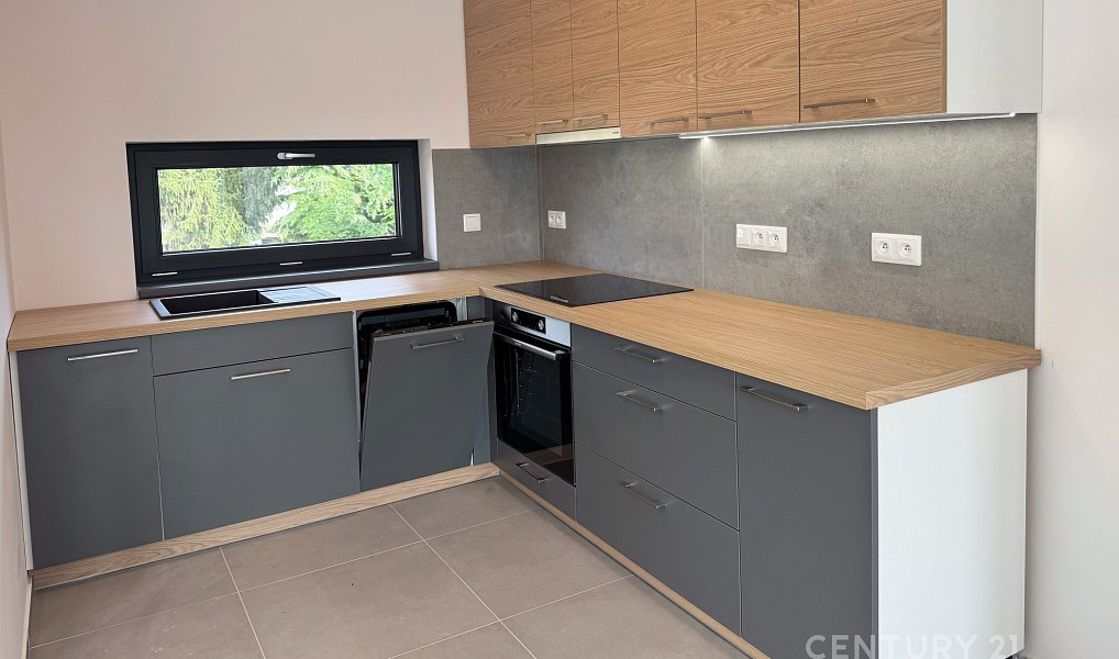 Pronájem bytu 3+kk 52 m², Bořanovice – náhled fotky 11