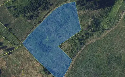 Prodej lesa 7 176 m², nám. Osvobození, Lysice, okres Blansko