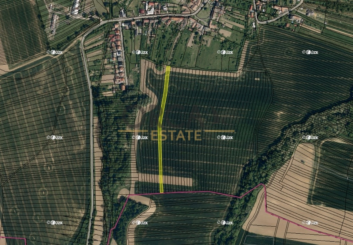Prodej pole 1 646 m²