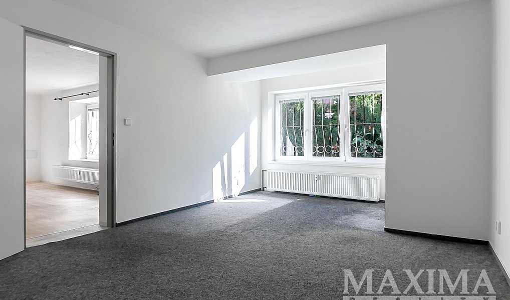 Pronájem bytu 1+1 50 m², Praha – náhled fotky 4