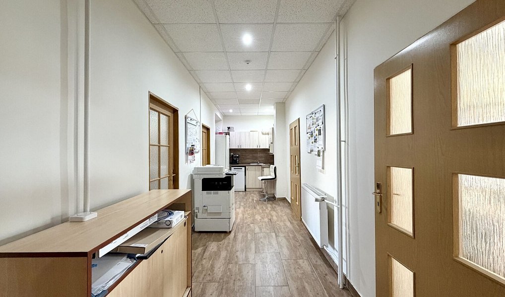 Prodej domu 466 m² s pozemkem 778 m², Chomutov – náhled fotky 32