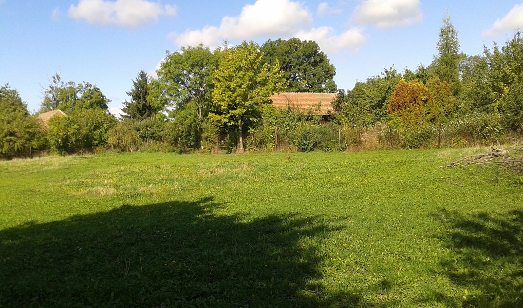 Pronájem zahrady 1 555 m², Městec Králové – náhled fotky 6