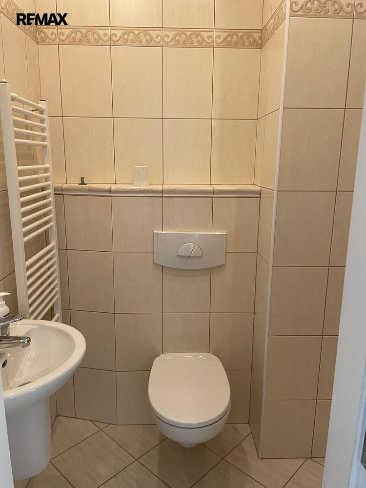 Pronájem bytu 5+kk 182 m² – fotografie 4