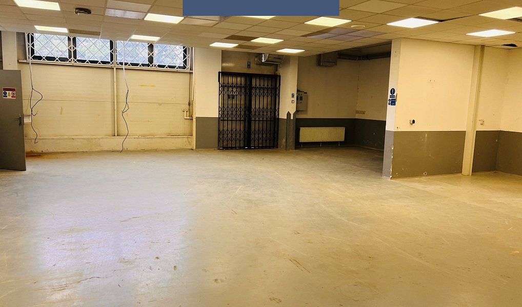 Pronájem obchodních prostor 1 290 m², Průhonice – náhled fotky 22