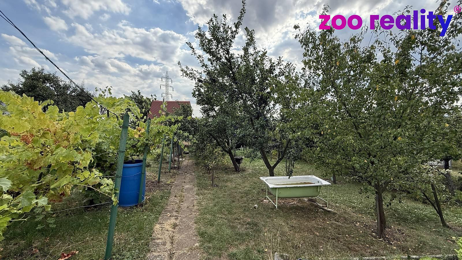 Prodej zahrady 479 m² — photo 5