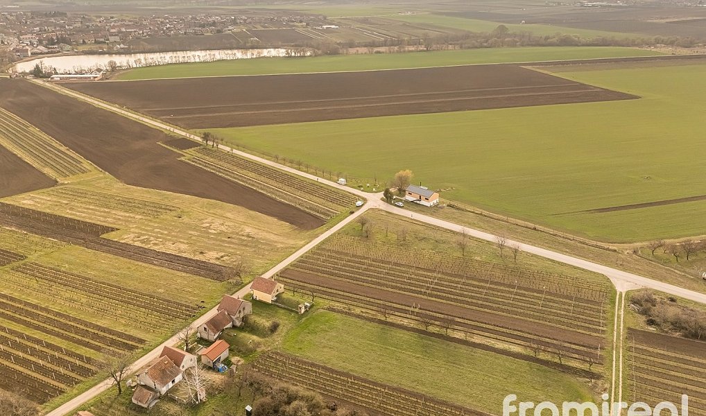 Prodej pole 2 781 m², Moravský Žižkov – náhled fotky 11