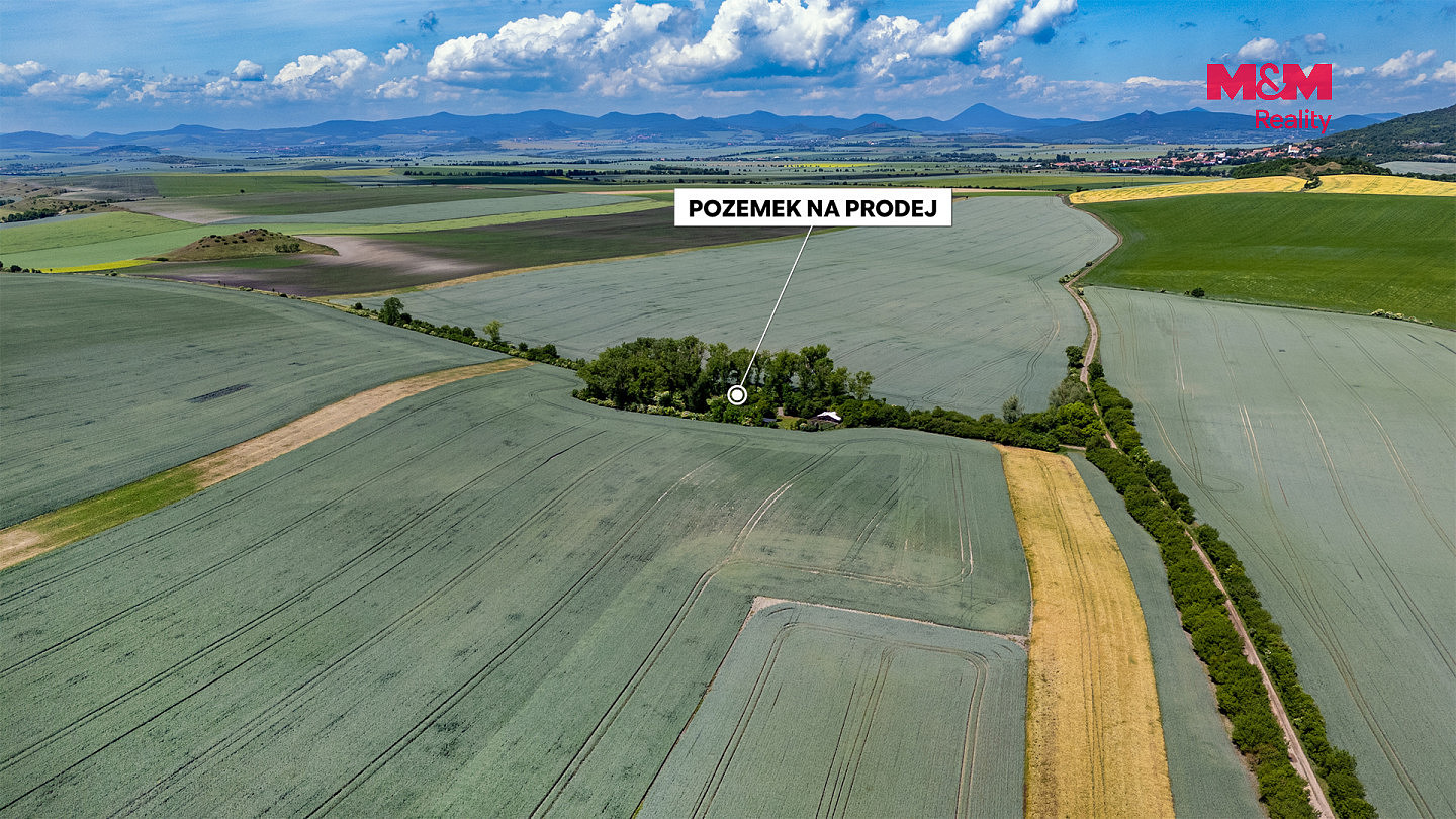 Fotka 5 z 14