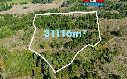 Prodej lesa 31 116 m², Horní Heřmanice, okres Třebíč