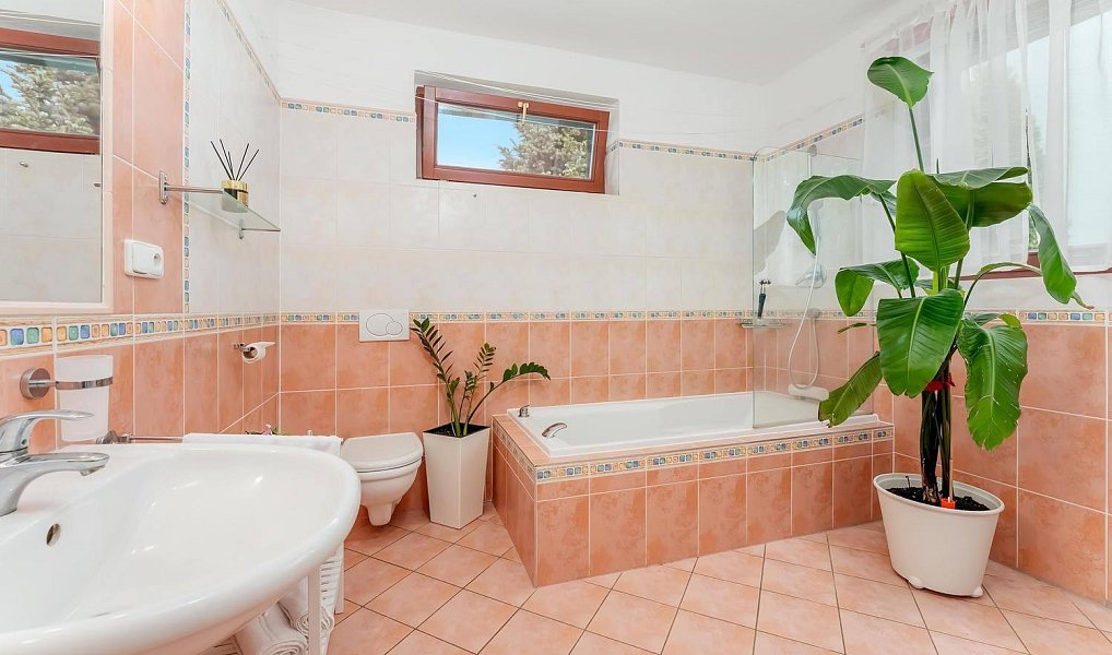 Prodej domu 169 m² s pozemkem 711 m², Kanice – náhled fotky 15