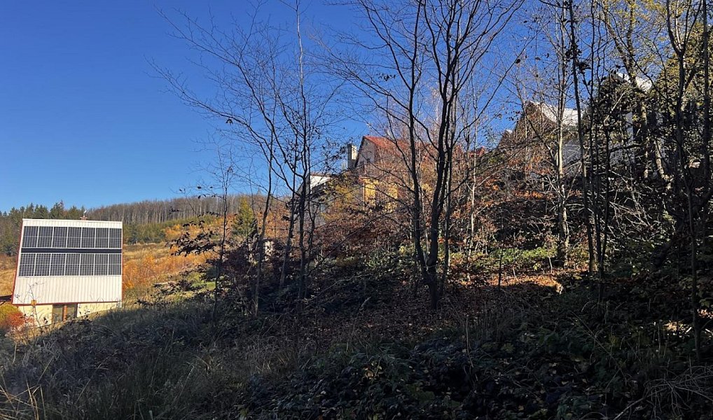 Prodej stavebního pozemku 3 129 m², Chvalčov – náhled fotky 8