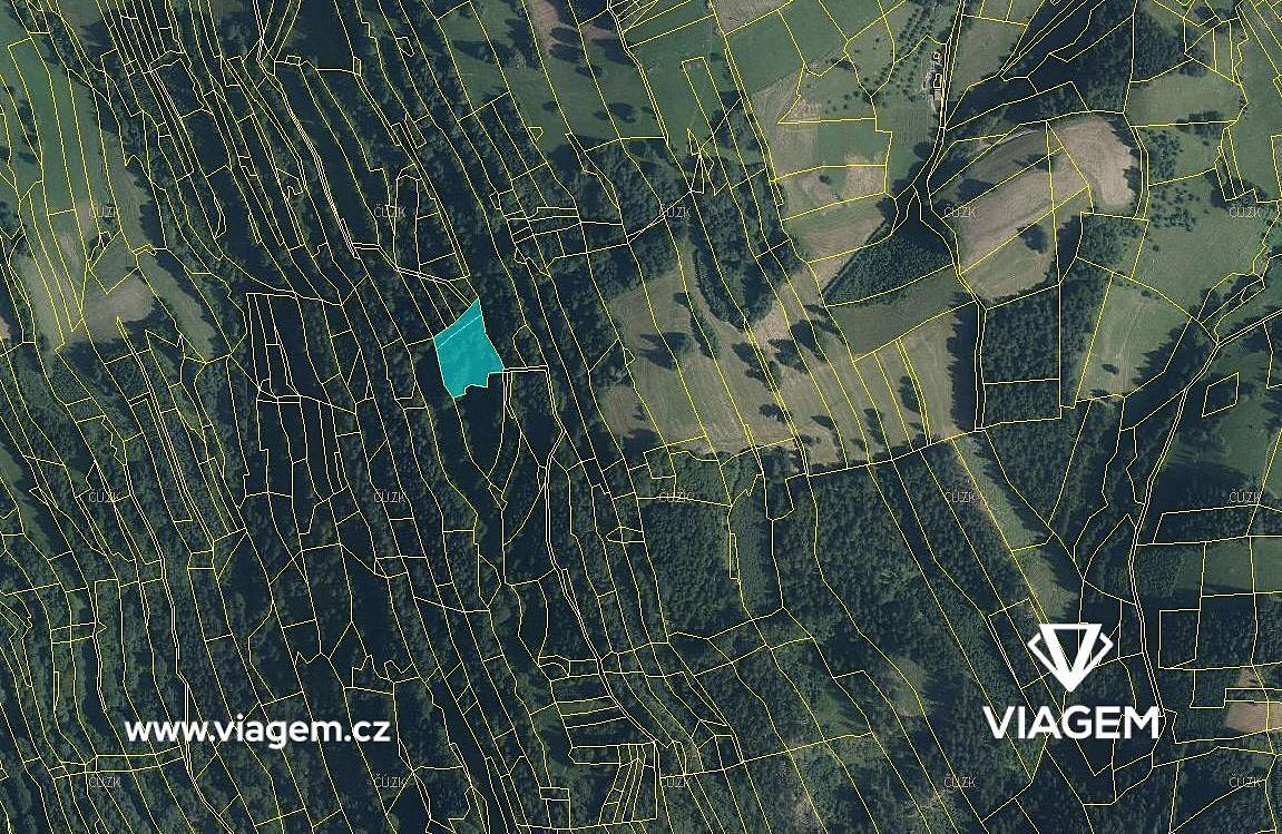 Les 3 516 m², Podíl 25 % o výměře 879 m² – pohled 2